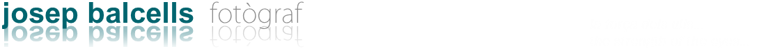 Site Title